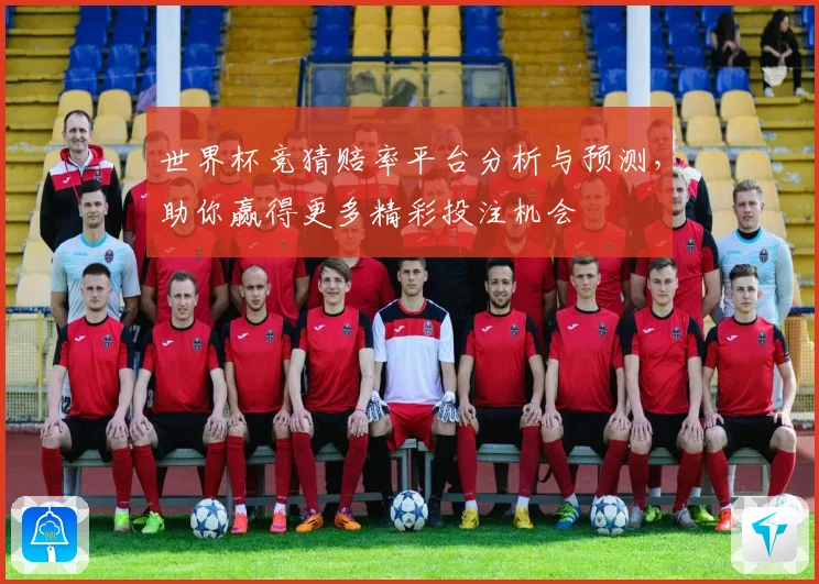 世界杯竞猜赔率平台分析与预测，助你赢得更多精彩投注机会